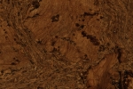 cork flooring, sustainable flooring, water resistant flooring
