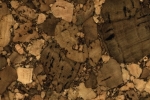 cork flooring, sustainable flooring, water resistant flooring